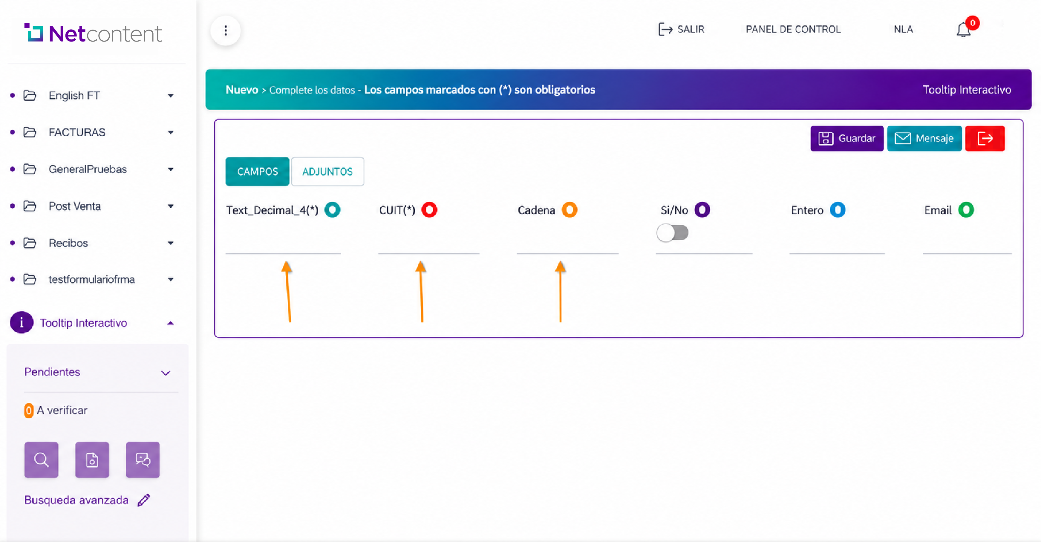 Interactive tooltip applied to a Netcontent form